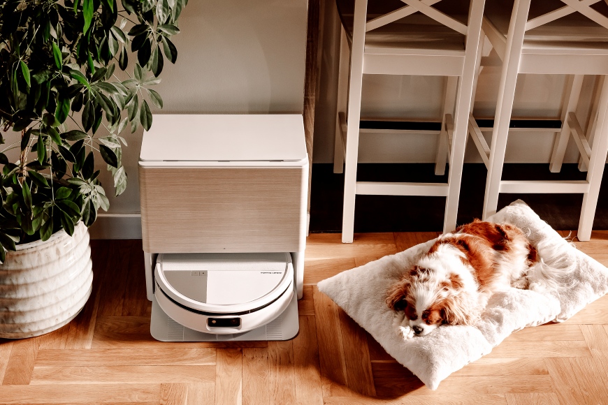Pies śpi na posłaniu obok robota Roomba Max 705 Combo w stacji AutoWash, obok stoją 2 wysokie krzesła i kwiat doniczkowy