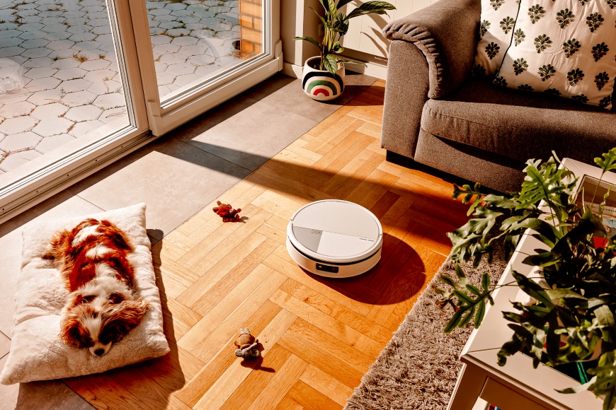 Roomba Max 705 Combo identyfikuje i omija psie zabawki w salonie, obok na posłaniu odpoczywa pies