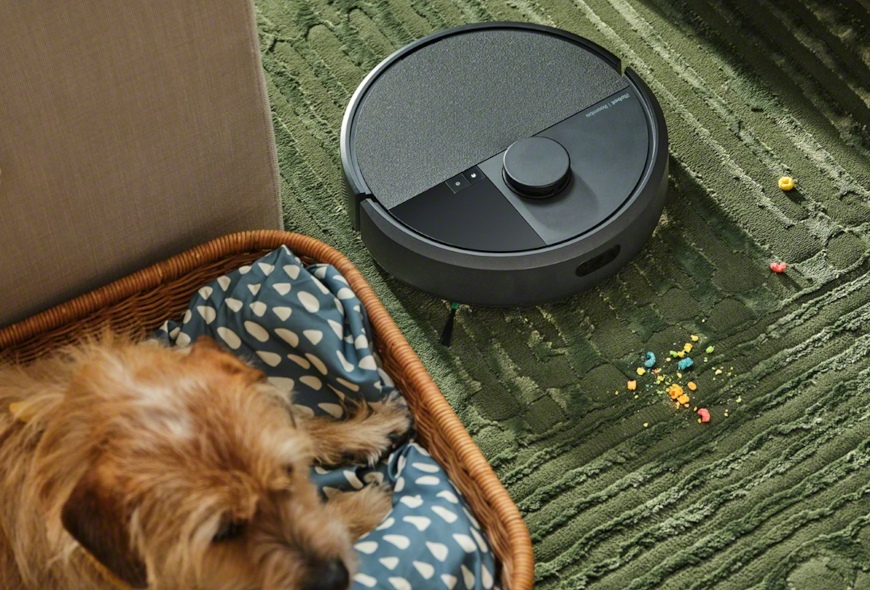 Robot Roomba Plus 405 Combo odkurza dywan w salonie, przejeżdżając obok kanapy, stolika kawowego i posłania, w którym śpi pies