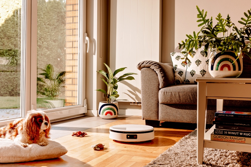 iRobot 705 Combo w domu z psem