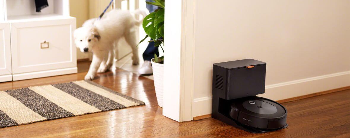 pies wraca ze spaceru do domu, w którym jest roomba j7+