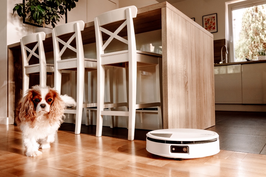 Pies przechodzi obok robota sprzątającego Roomba podczas gdy ten odkurza podłogę w kuchni