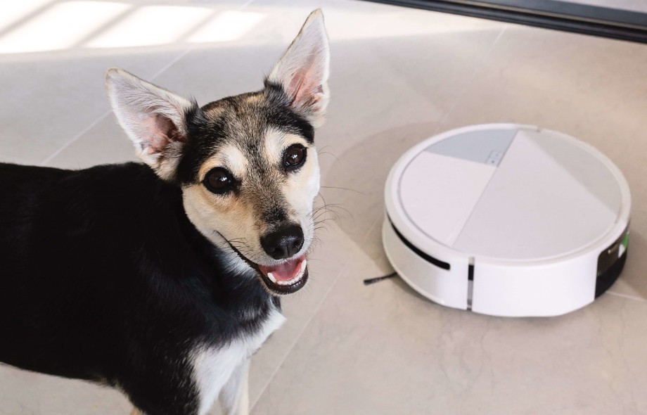 Czysty dom mimo sierści i błota? Sprawdź, jak robot sprzątający pomoże właścicielom zwierząt