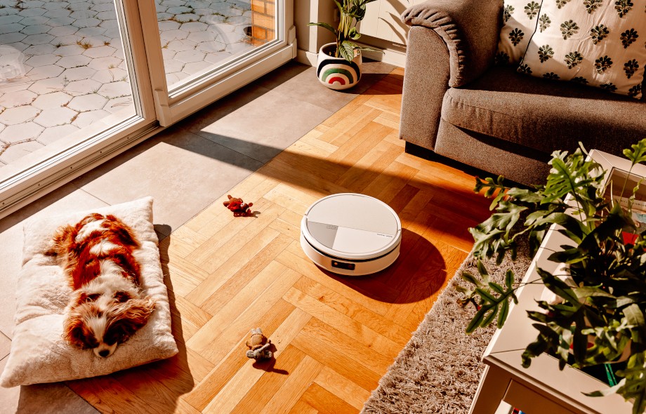 Pies, kot i przedświąteczny chaos: jak utrzymać czysty dom i znaleźć czas dla pupila