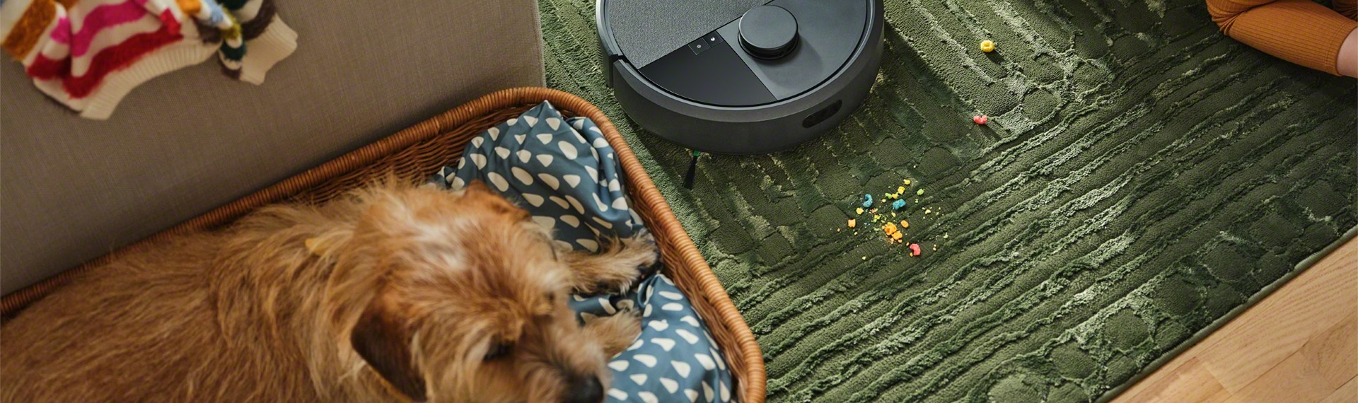 Czysty dom mimo sierści i błota? Sprawdź, jak robot sprzątający pomoże właścicielom zwierząt